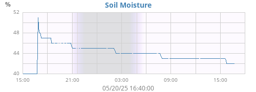 daymoistsoil
